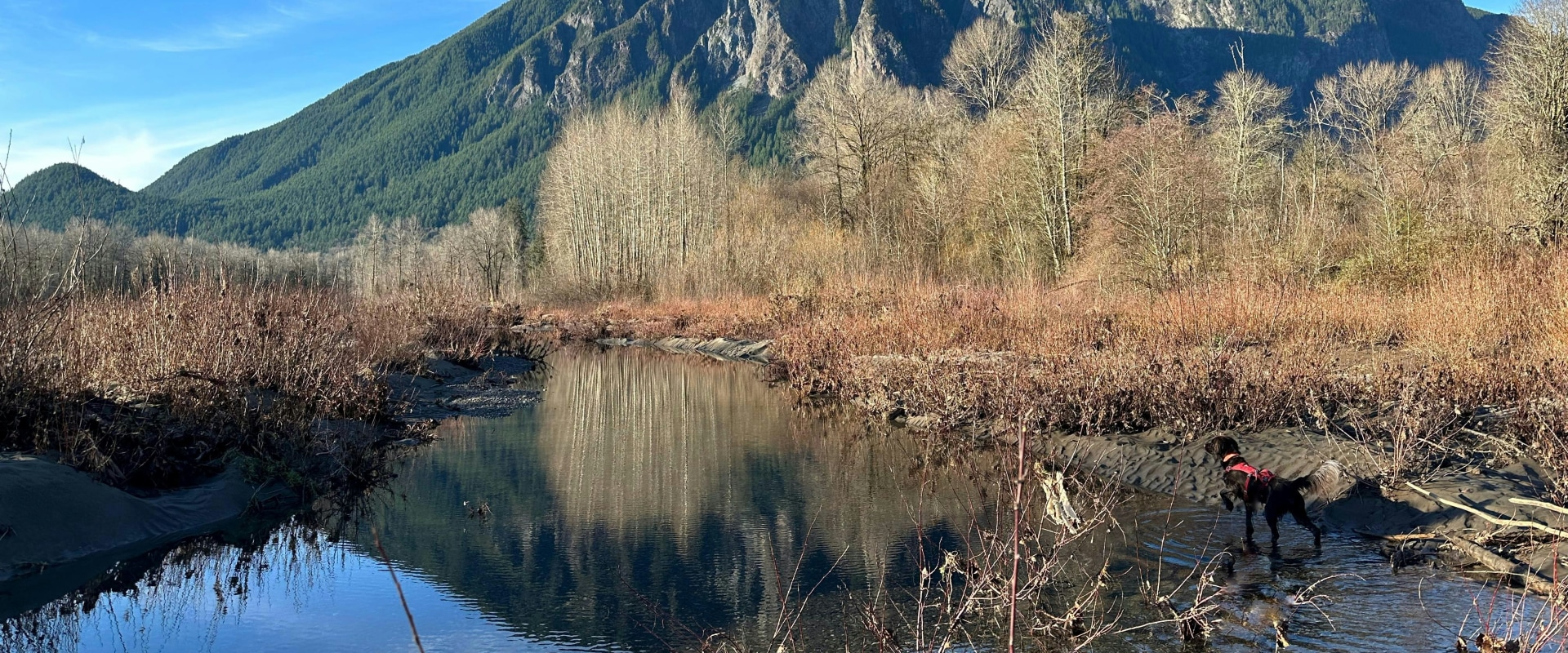 Exploring Transportation Options in King County, WA