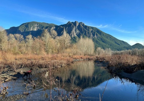 Exploring Transportation Options in King County, WA